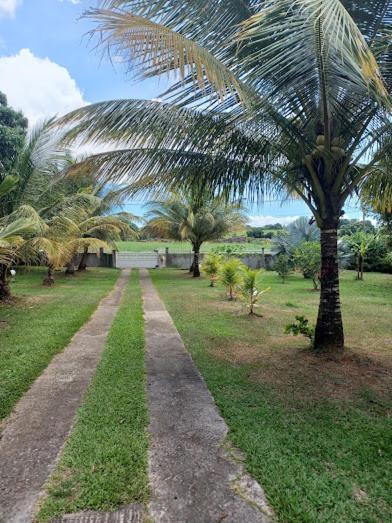 Ti Bijou Villa Baie-Mahault Exteriör bild