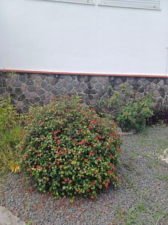 Ti Bijou Villa Baie-Mahault Exteriör bild